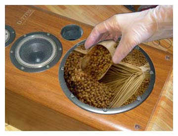 soybean
