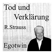 Egotin